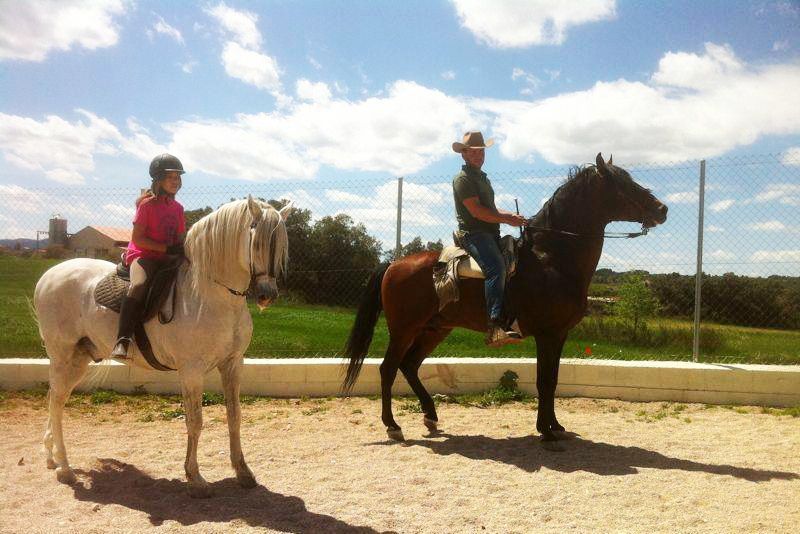 Hípica - Caballos