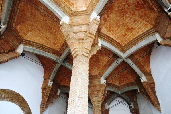 visita guiada celler cooperatiu de gandesa
