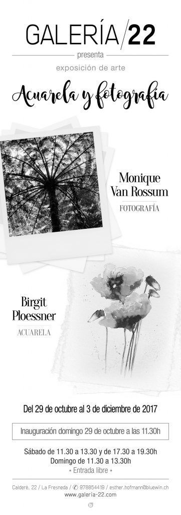 exposicion-fresneda-galeria 22