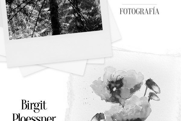 Exhibition-Fresneda-Gallery 22