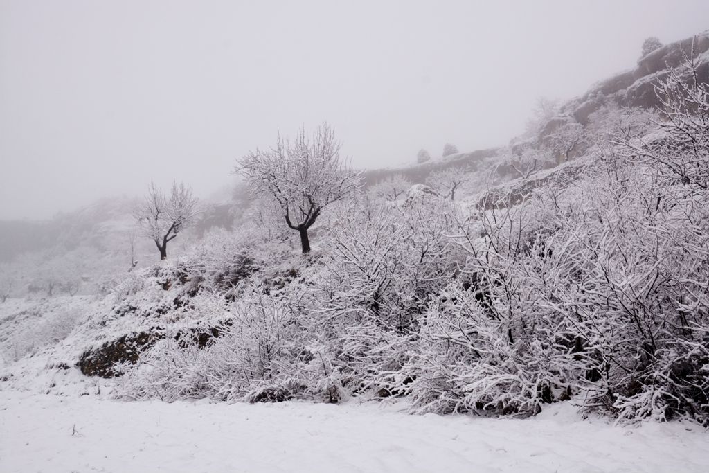 Posada-Guadalupe-Matarraña-Monroyo-nieve