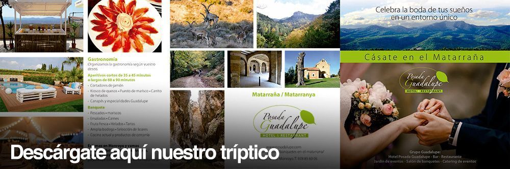 Jardín para eventos al aire libre