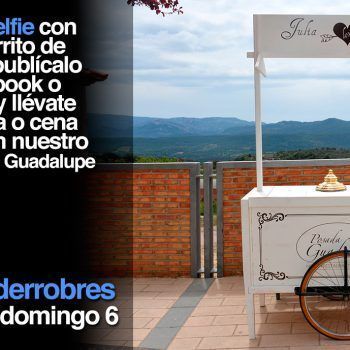 Selfie Carrito Helados