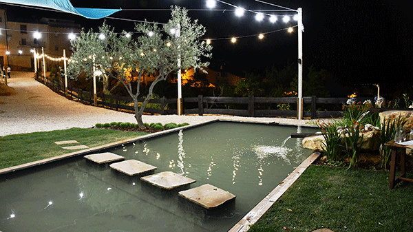 Jardin de Eventos posada Guadalupe