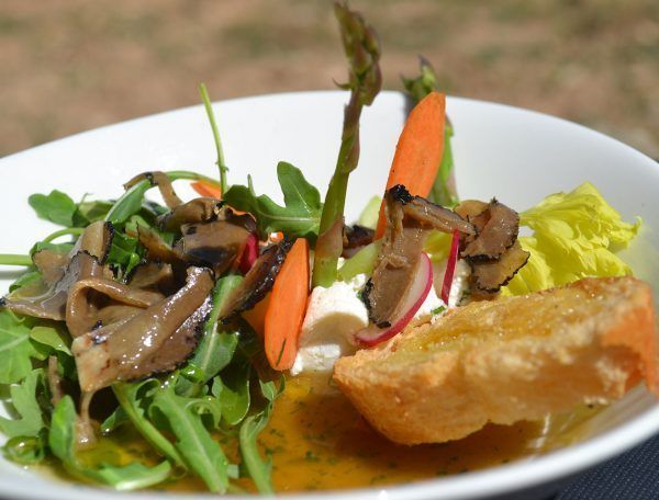 Ensaladas Bodas Jardín la Noguera Posada Guadalupe