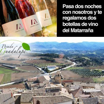 regalo de dos botellas de vino