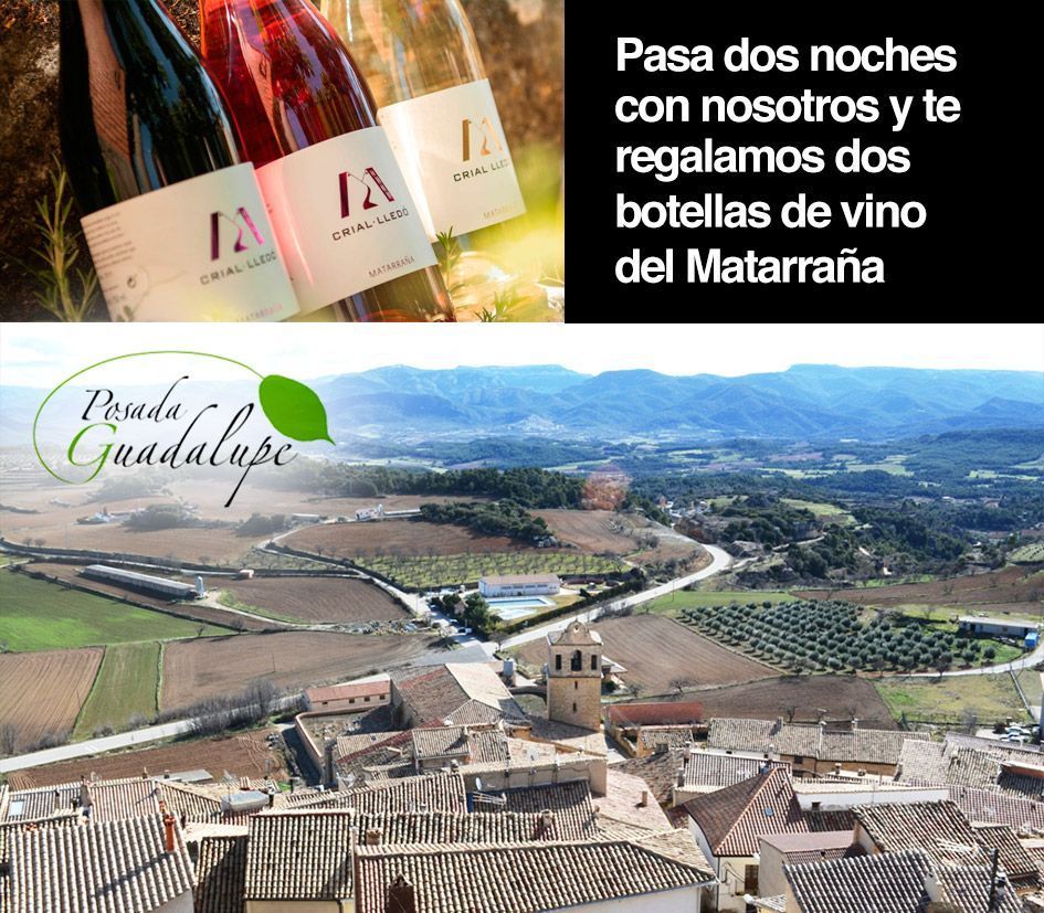 regalo de dos botellas de vino