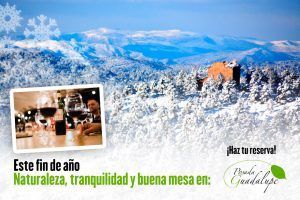 fin de año-2020