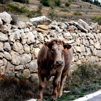 Ruta inhospita Ruta Motera Posada Guadalupe Matarraña