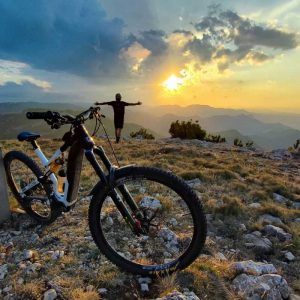wildtrack