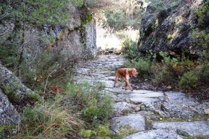 ruta senda secreta 1