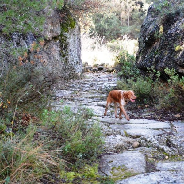 ruta senda secreta 1